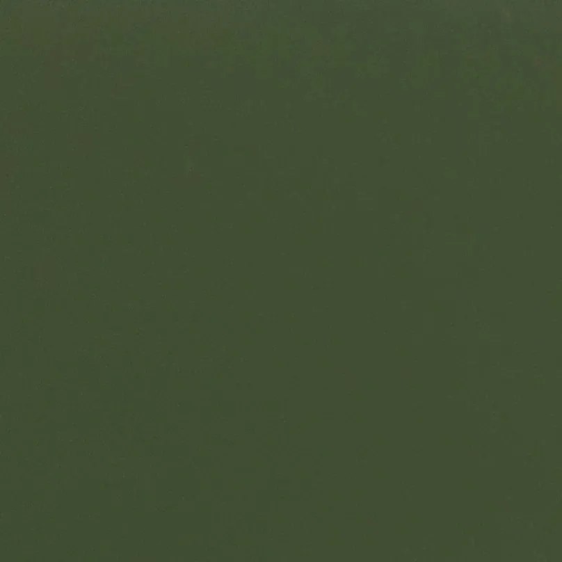 Army Green 2K Single Stage Aerosol Spray Paint