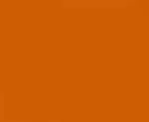 Signal Orange - Automotive Aerosol Spray Paint