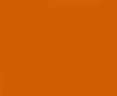 Signal Orange - Automotive Aerosol Spray Paint