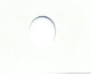 Stone White - Automotive Aerosol Spray Paint